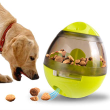 Dog Food Ball